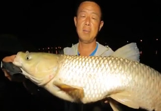 大毛钓鱼最新视频,大毛钓鱼最新视频，科技钓鱼新体验，领略科技魅力