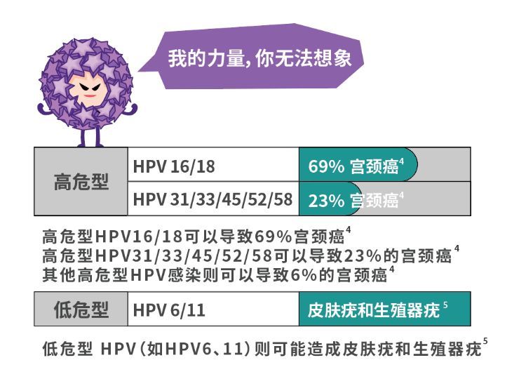 2024年最新最准资料,最新研究解读_HPV77.507奢华版