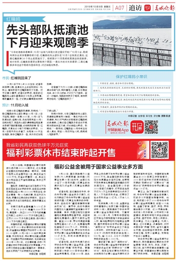 电动旗杆 第625页