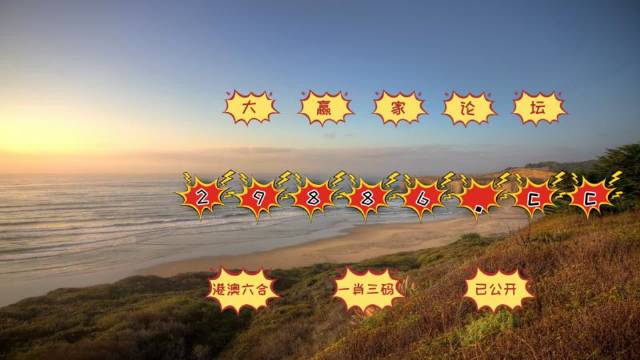 新澳门天天开彩最快查询结果,实地验证实施_MIB77.553艺术版