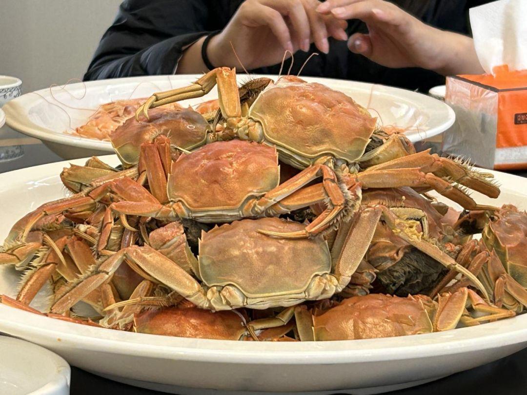 白斑最新技术,白斑最新技术，照亮康复之路的曙光