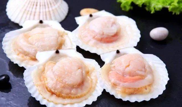 扇贝最新版，用户体验与功能革新的深度探讨