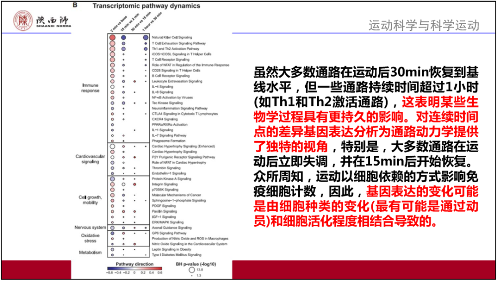 澳门资料大全正版资料2024年,现况评判解释说法_FHP77.856分析版