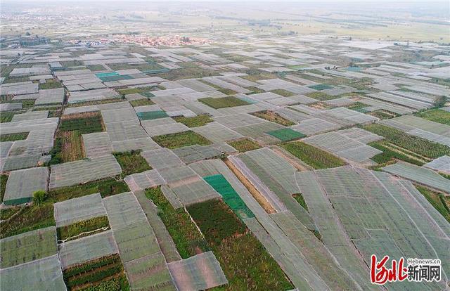 怀来小巷深处的独特风味，隐藏版特色小店惊艳亮相最新新闻