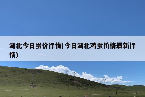 湖北鸡蛋最新价格及市场走势分析与预测