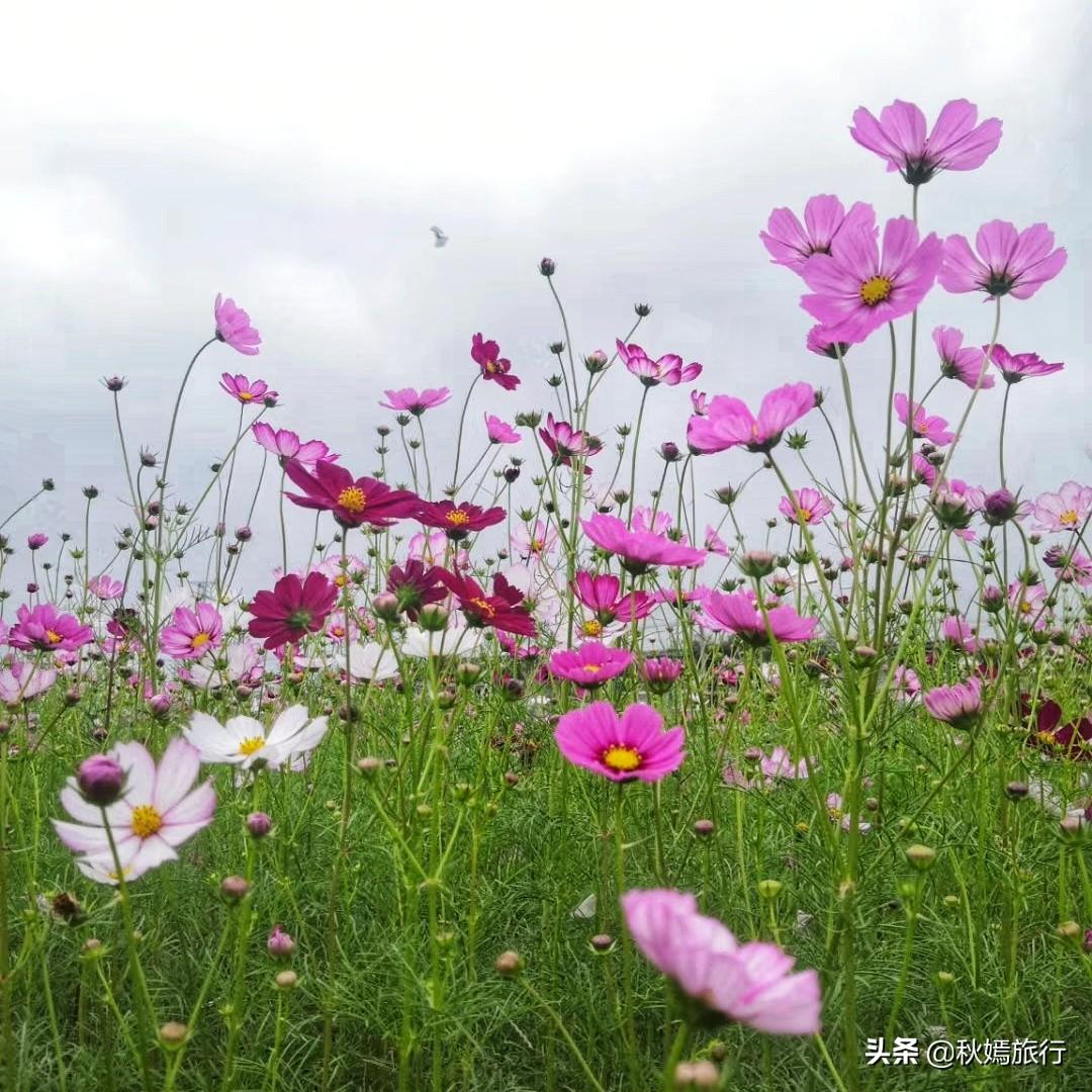 常熟福山最新招聘动态，探索自然美景，寻求内心宁静与平和的旅程
