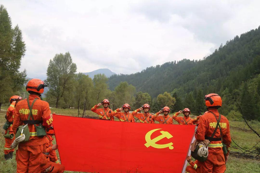 森林警察改革最新动态及步骤指南