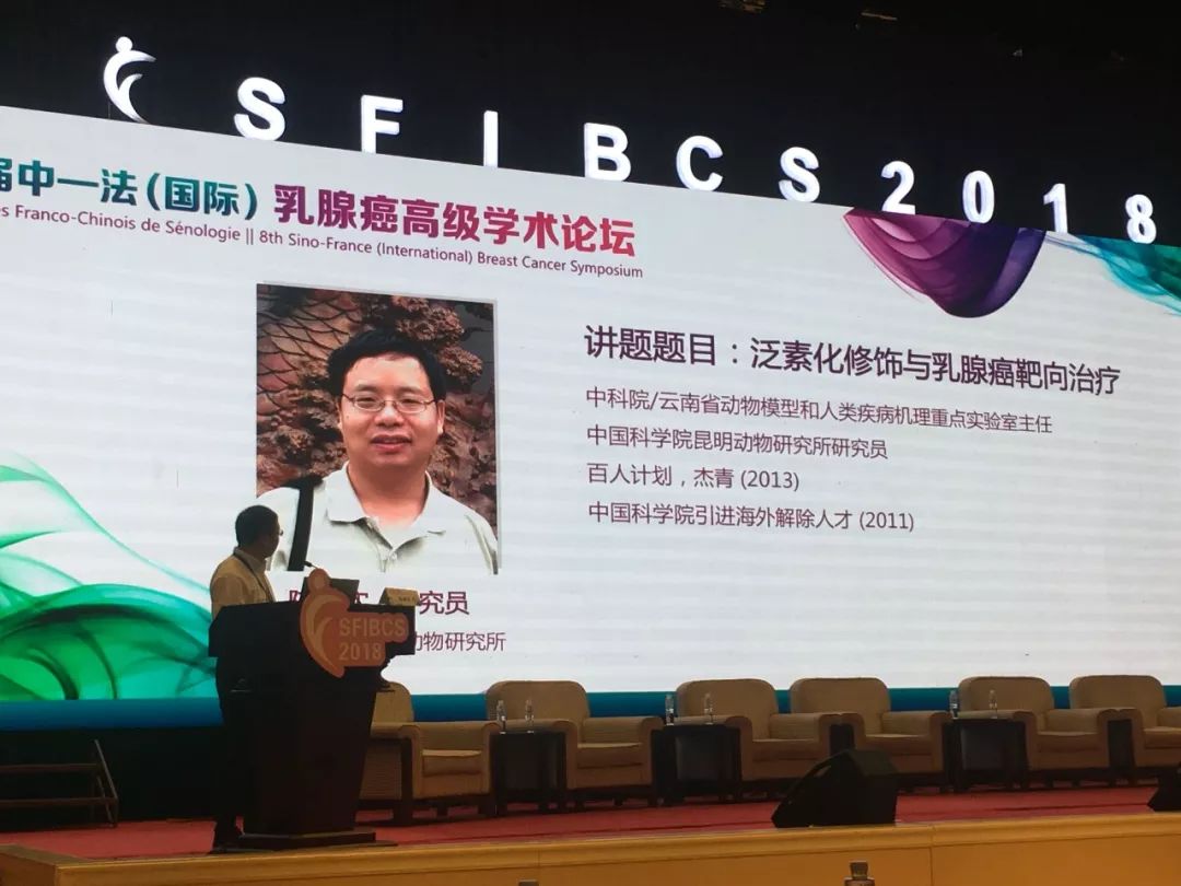 56595香港慈善网资料,互动性策略设计_GJE23.822工具版