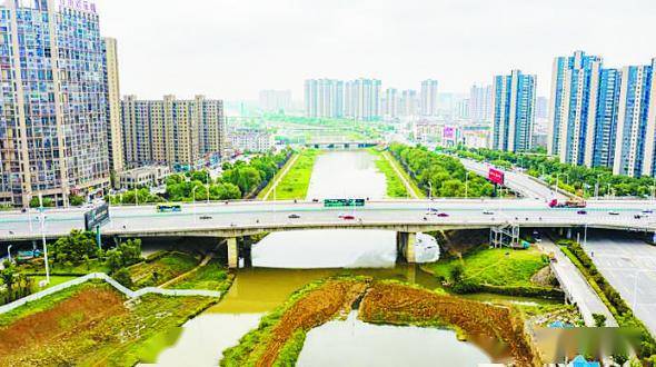 金寨县智慧城最新公告，城市生活的温馨日常揭秘