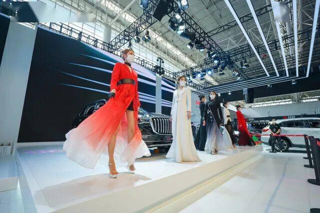 星卡在长沙,爱与陪伴的奇妙之旅最新动态