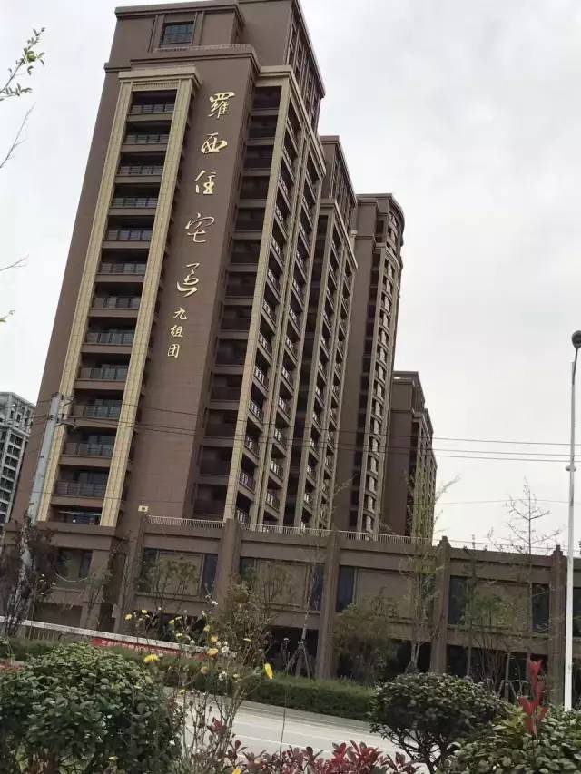 温州三郎桥安置房最新进展与巷弄深处的隐藏美食秘境探索