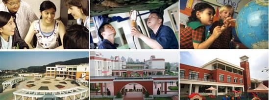 丽鹏股份最新动态获取与解读,全方位指南