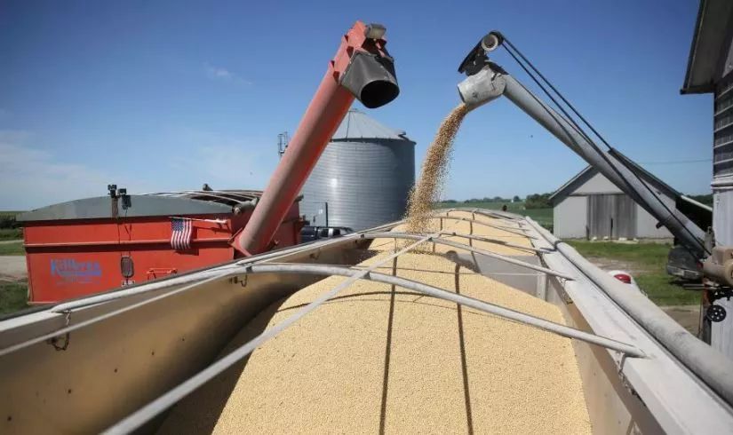 2024新澳门资料免费长期,全方位展开数据规划_KSB79.441晴朗版