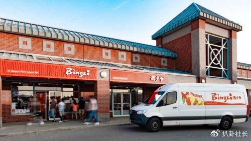 新西少爷现象深度解析与个人观点观察最新消息速递