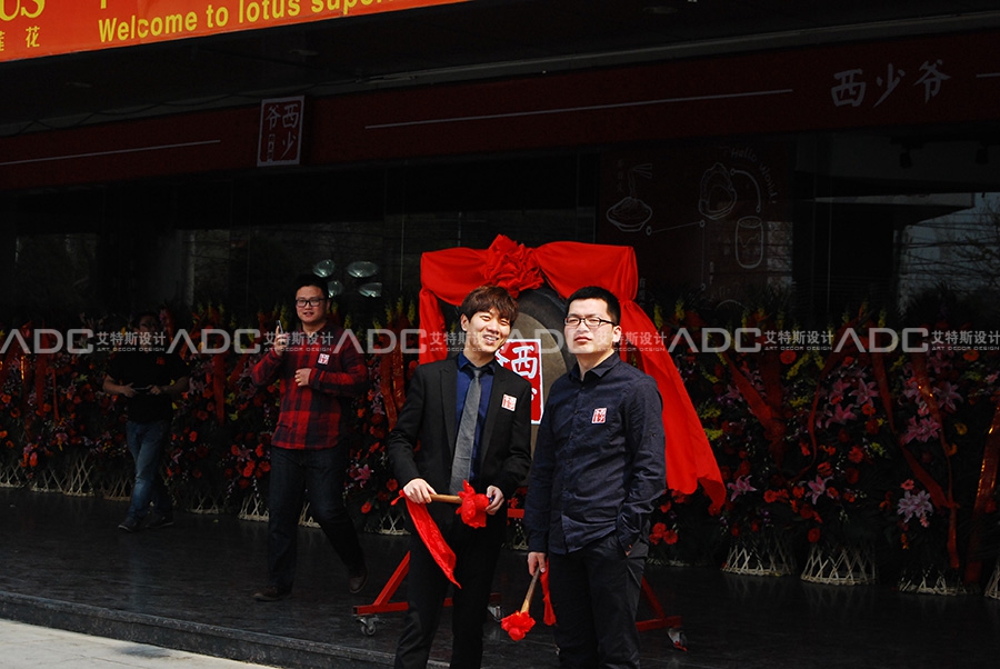 新西少爷现象深度解析与个人观点观察最新消息速递