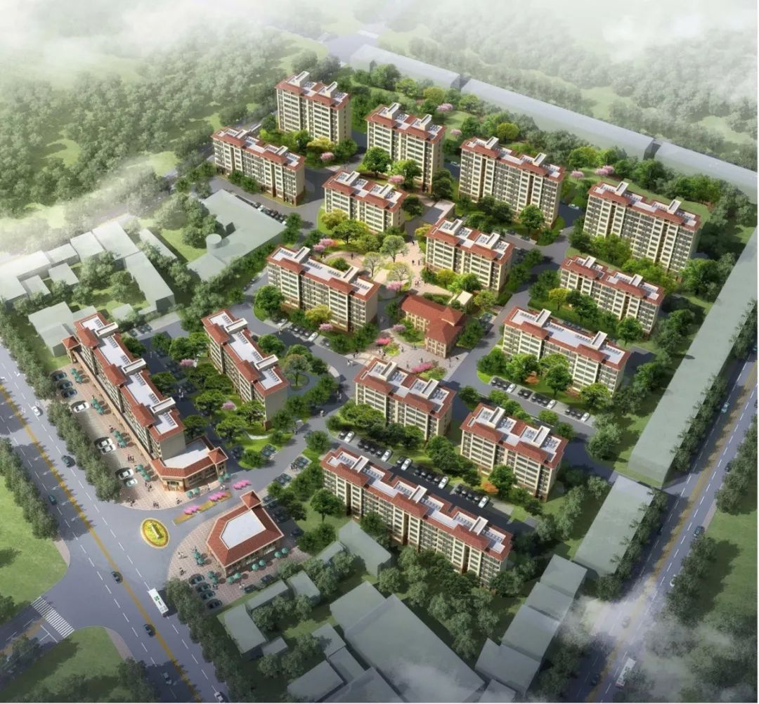 最新丁家园,塑造理想生活新典范