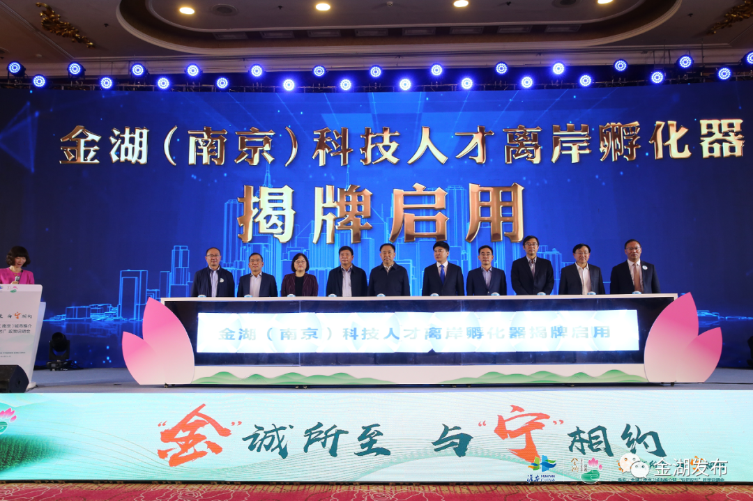 金湖最新新闻🌟