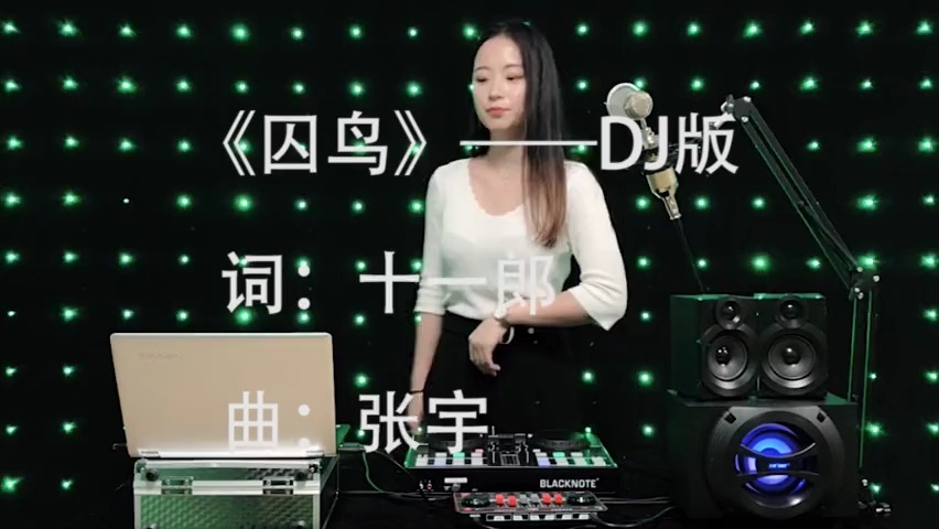 囚鸟最新版,小巷深处的独特风情