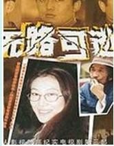 深度解析,悬疑巨制无路可逃电影