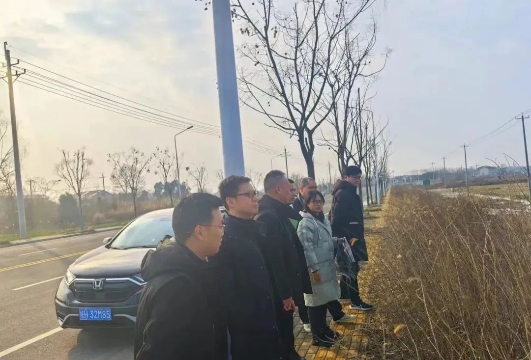 怀宁石牌最新发展动态及观点探析