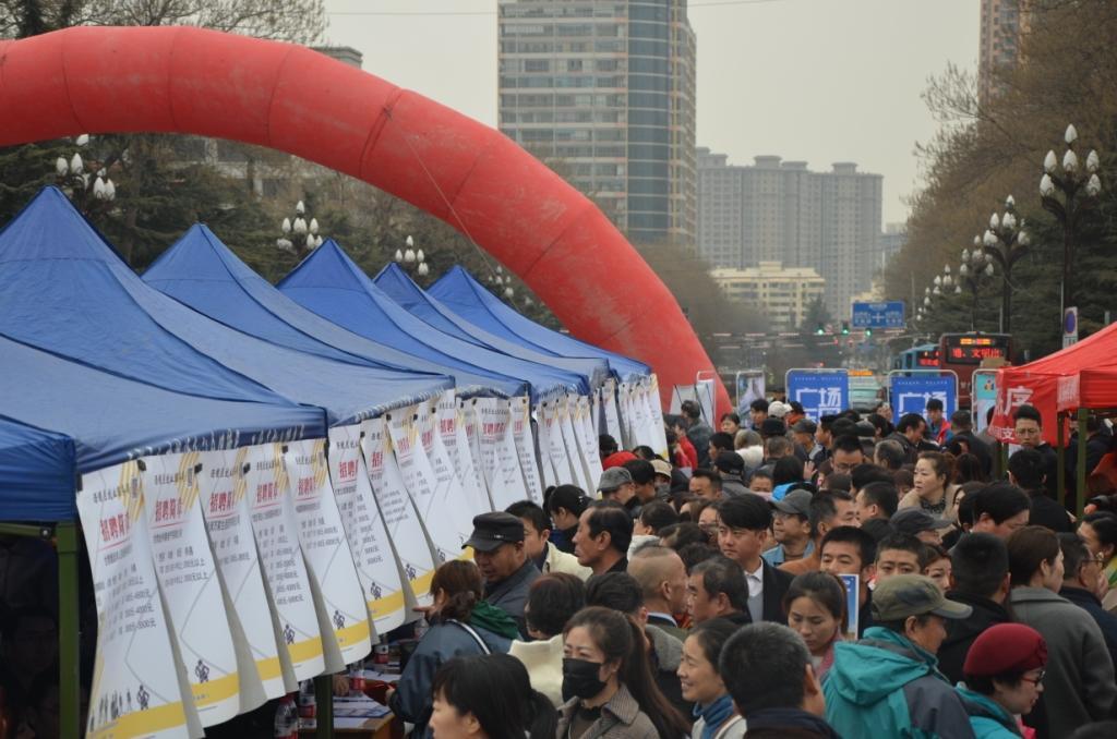 西固最新招聘动态与探索自然美景之旅，寻找内心的平和