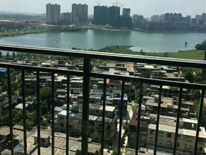 阳逻泊湖湾最新房价走势及分析概述