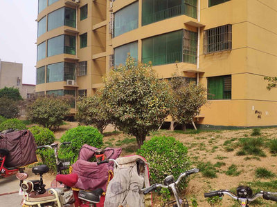 成安最新二手房出售信息及市场现状与前景分析