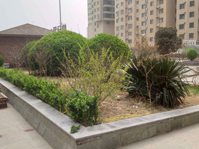 成安最新二手房出售信息及市场现状与前景分析