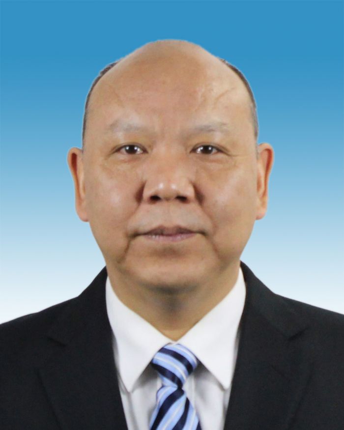 河南省副省长名单揭秘，背后的趣事与情感纽带