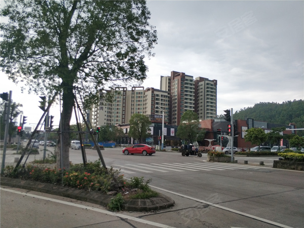 中山市神湾镇最新房价,时代背景下的楼市动态