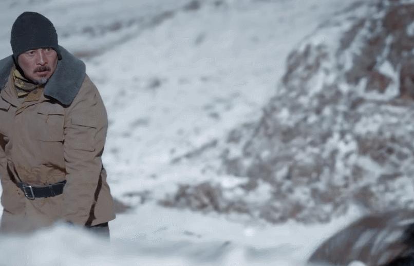 猎狼者最新解析,深度解读这部备受瞩目的佳作