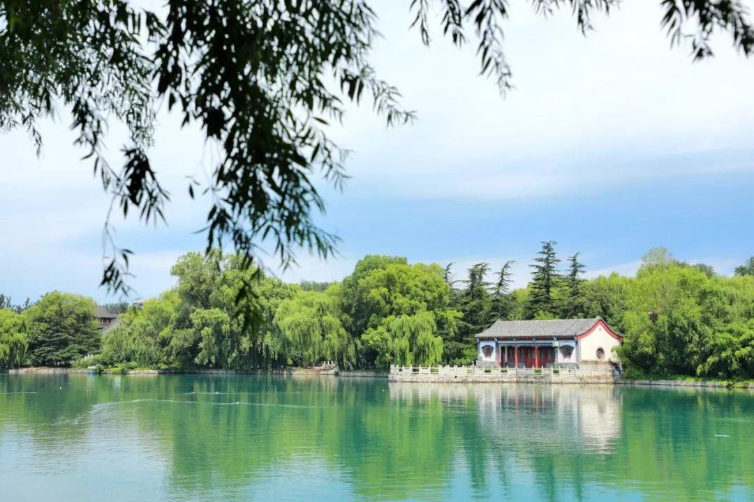 清泉最新科技产品,重塑生活体验的革新之作