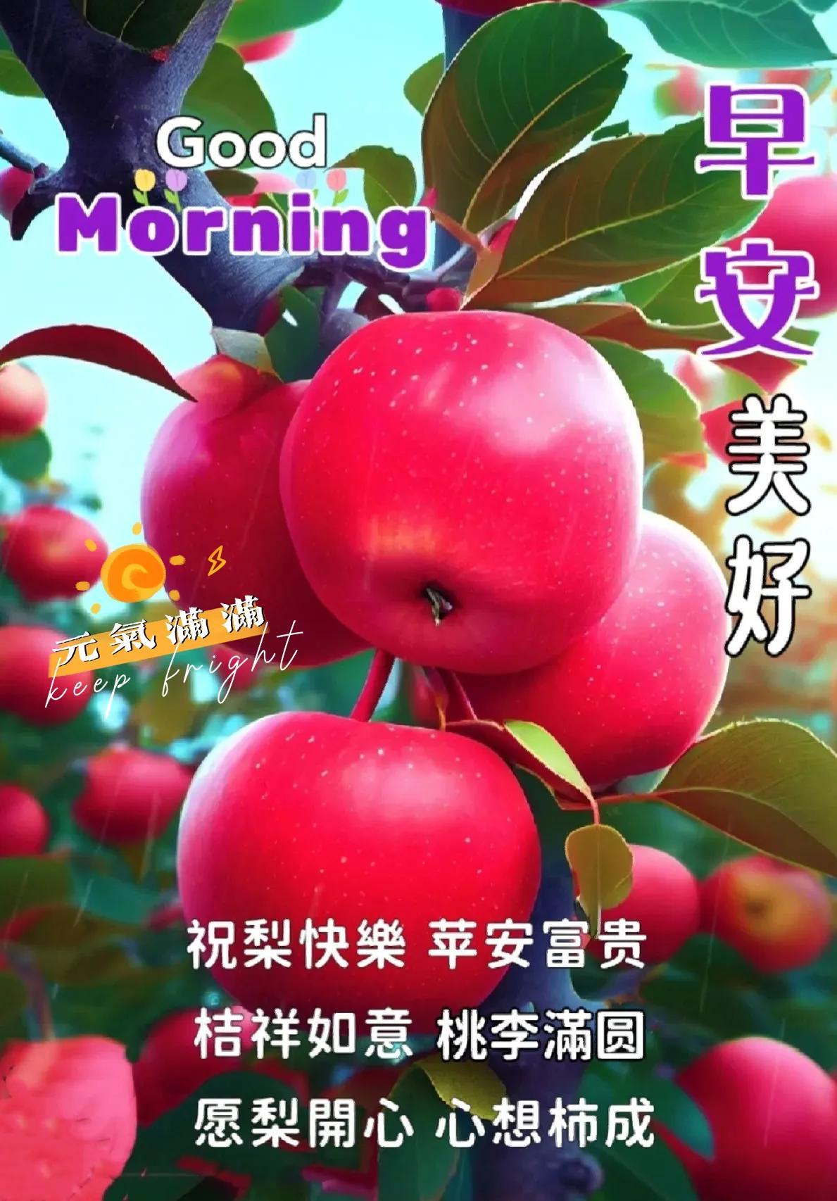 最新苹果科技风采,领略前沿魅力,探索未来创新之路✨