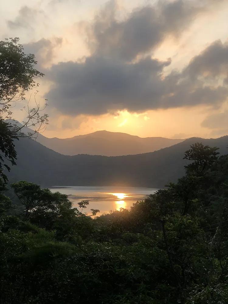 香港最新疫情消息更新