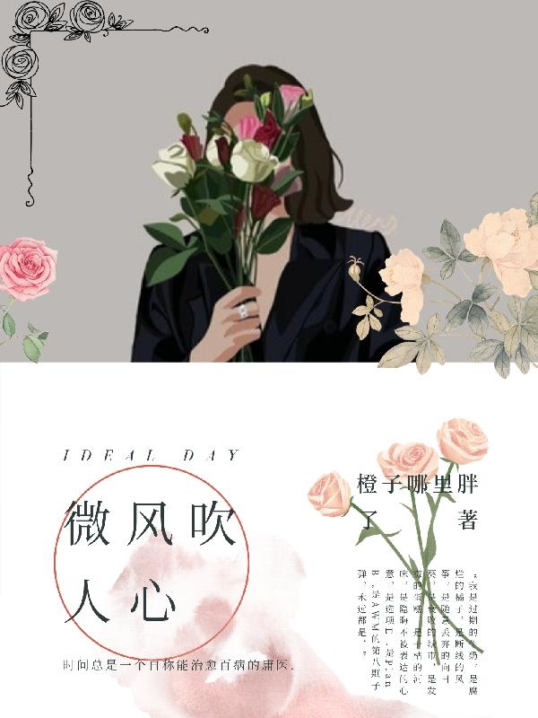 微风最新小说，深度探索故事的魅力与内涵