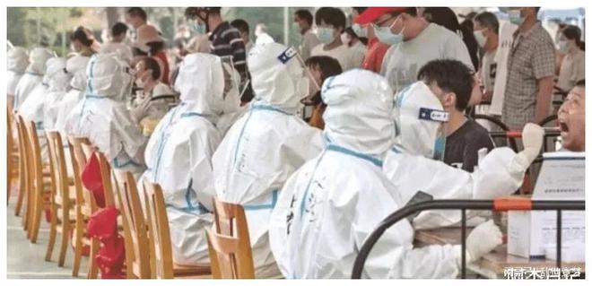 八最新疫情下的心灵之旅与自然美景的邂逅