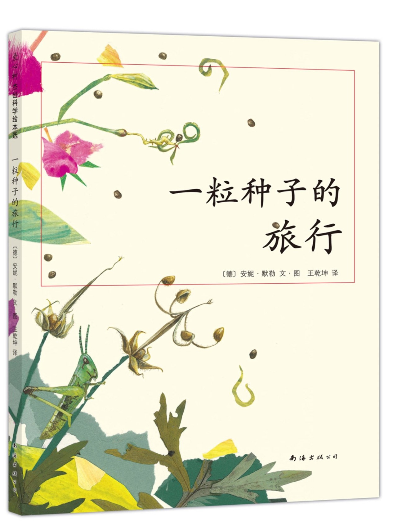 种子旅行最新动态与体验🌱