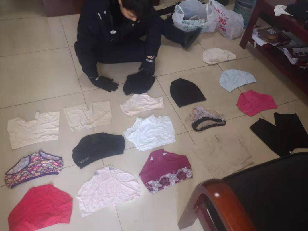 最新偷冬天内裤现象深度解析与警示