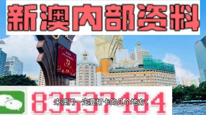 新澳门最新网站，科技与娱乐的交汇点探索