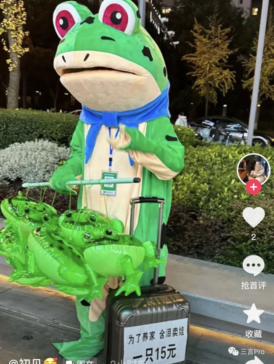 青蛙视频最新版，时代背景下的视频巨擘