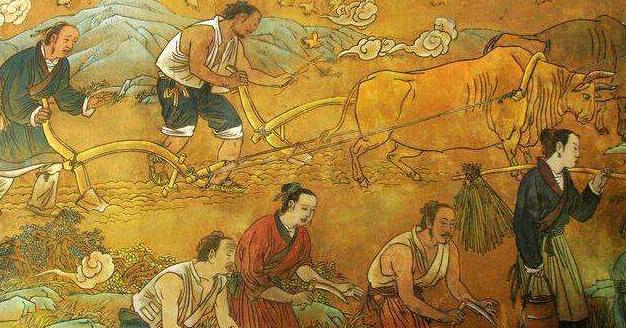 普天中央国际最新价格揭秘🌟