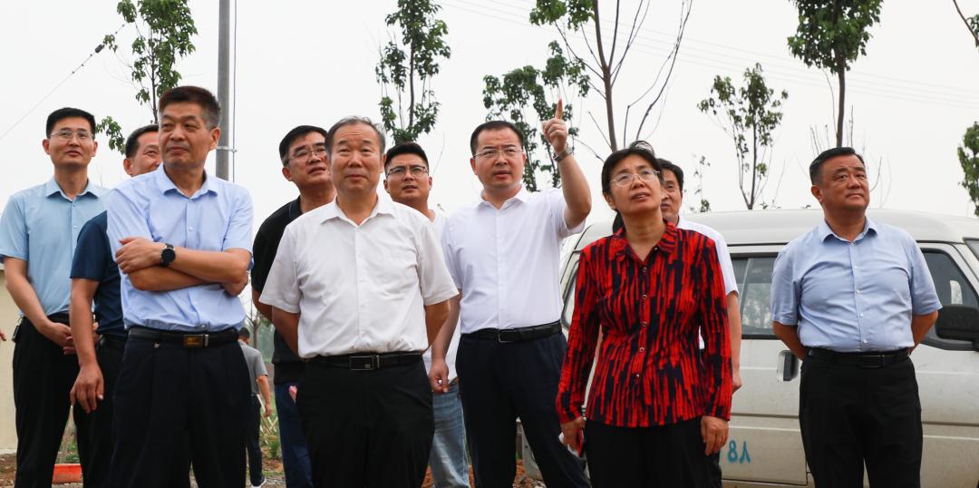 探沂镇最新规划详解,观点论述与深度解读