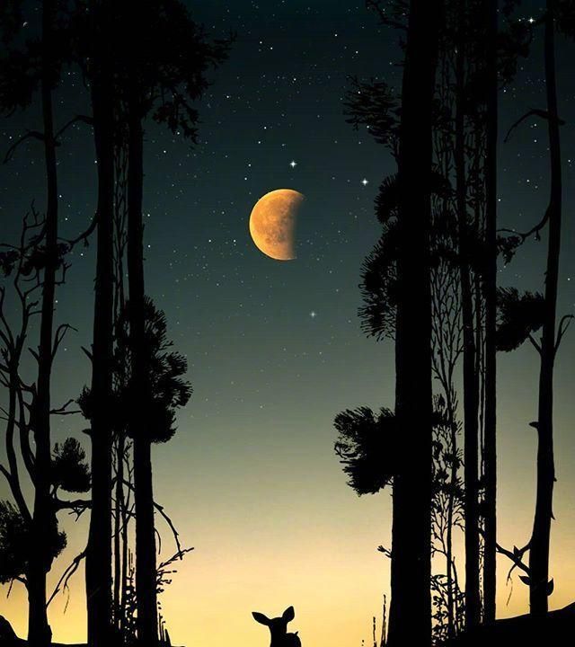 晚安八月,小巷深处的独特小店