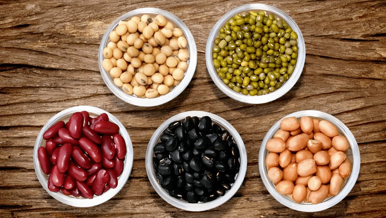 深度解析最新版鱼豆观点及其影响