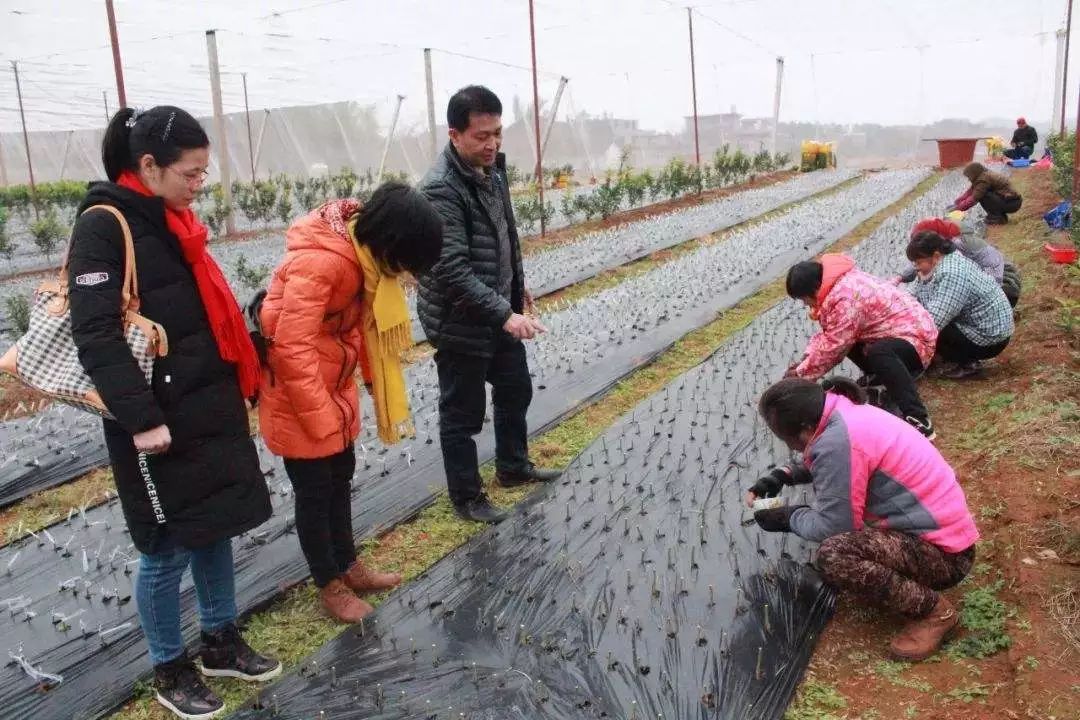 平鲁最新政策,时代背景下的变革与影响分析