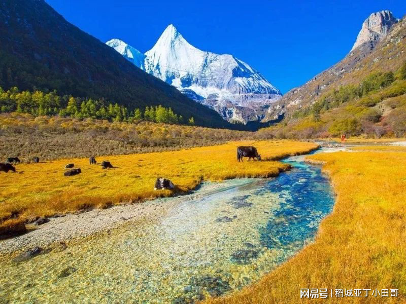 稻城最新动态,科技前沿之旅,开启未来生活新篇章体验