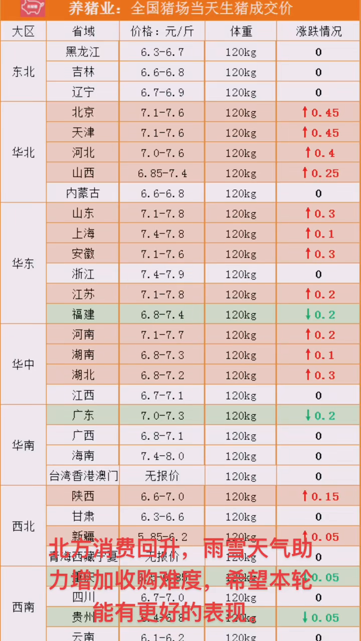 明日猪价行情分析,洞悉市场走势,掌握最新动态!