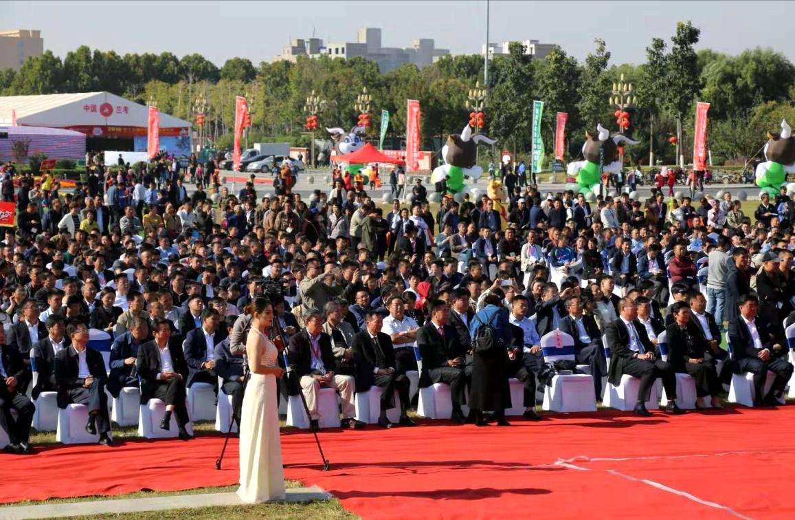 河南畜牧业最新发展概况