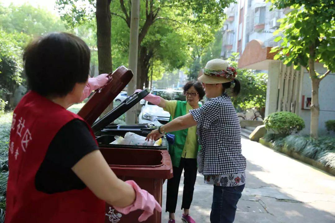 垃圾分类日常,小绿的奇遇与环保的温馨篇章