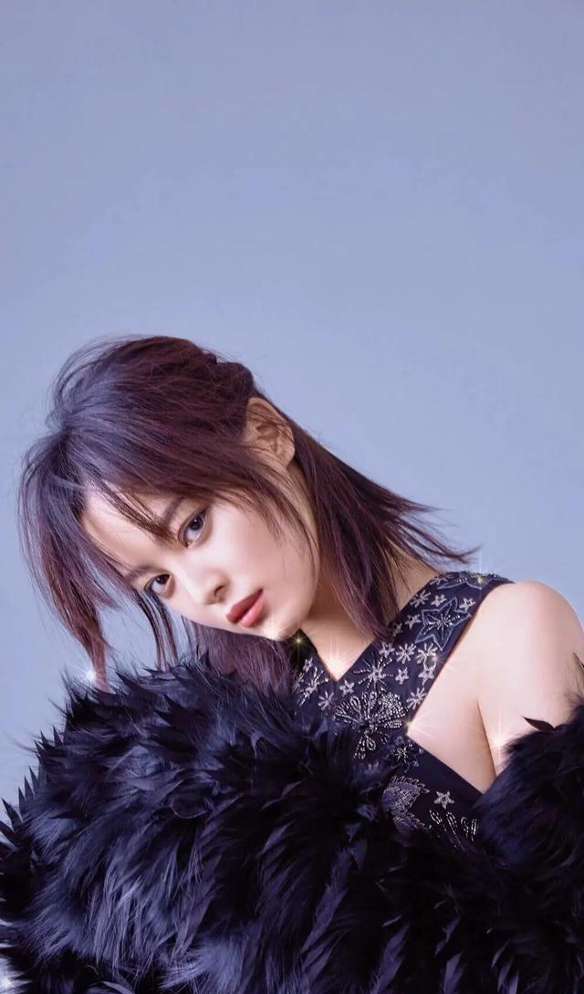 辛芷蕾最新图片,时尚潮流与个人魅力的完美融合